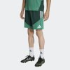 Pánské šortky adidas FAF TR SHO - foto 1