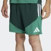 Pánské šortky adidas FAF TR SHO - foto 6