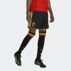 Pánské šortky adidas RBFA H SHO - foto 1