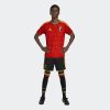 Pánské šortky adidas RBFA H SHO - foto 3