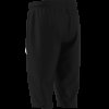 Pánské šortky adidas ENT26 3/4 PNT - foto 12