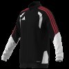 Pánská mikina adidas TIRO26C TR JKT - foto 15