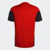 Pánský dres adidas RBFA TR JSY - foto 1