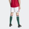 Pánské šortky adidas HFF H SHO AU - foto 2