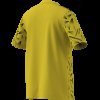 Dětský dres adidas T ICON25 JSY Y - foto 13