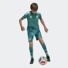 Dětský dres adidas DFB H GK JSY Y - foto 4