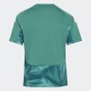 Dětský dres adidas DFB H GK JSY Y - foto 1