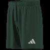 Pánské šortky adidas ENT26 SHO - foto 16