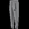 Pánské tepláky adidas TT SW PNT - foto 13