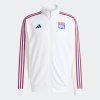 Pánská mikina adidas OL DNA TT - foto 0