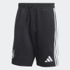 Pánské šortky adidas DFB DNA FL SHO - foto 0