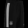 Pánské šortky adidas DFB DNA SHO - foto 7