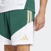 Pánské šortky adidas FIGC TR SHO - foto 4