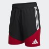 Pánské šortky adidas DFB DT SHO - foto 0