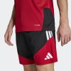 Pánské šortky adidas DFB TR SHO - foto 5