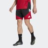Pánské šortky adidas DFB TR SHO - foto 1