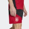 Pánské šortky adidas DFB TR SHO - foto 6