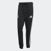 Pánské tepláky adidas DFB DNA PNT - foto 0