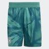Pánské šortky adidas DFB H GK SHO AU - foto 0
