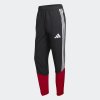 Pánské tepláky adidas DFB PRE PNT - foto 0
