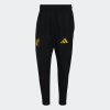 Pánské tepláky adidas RBFA TT PNT - foto 0