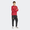 Pánské tepláky adidas RBFA TT PNT - foto 3