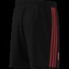 Pánské šortky adidas RBFA DNA SHO - foto 10
