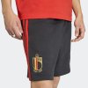 Pánské šortky adidas RBFA DNA SHO - foto 6