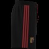 Pánské šortky adidas RBFA DNA SHO - foto 9
