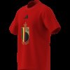 Pánské tričko adidas RBFA DNA GR TEE - foto 14