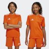 Dětský dres adidas CAMPEON25 JSY Y - foto 9