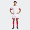 Pánské šortky adidas SQUA25 SHO M - foto 6