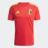 Pánský dres adidas RBFA H JSY FAN - foto 0