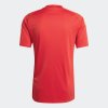 Pánský dres adidas RBFA H JSY FAN - foto 1