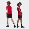 Dětské šortky adidas TIRO25C TR SHOY - foto 6