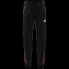 Dětské tepláky adidas TIRO25C TR PNTY - foto 9