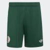 Pánské šortky adidas FAF A SHO - foto 0