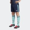 Pánské šortky adidas DFB A SHO - foto 1