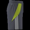 Pánské šortky adidas TIRO24 TRSHO - foto 4