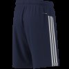 Pánské šortky adidas WE BAS 3SPQ S9i - foto 9