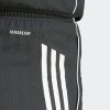 Dámské šortky adidas TIRO25C DT SHOW - foto 5