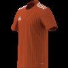 Pánský dres adidas CAMPEON25 JSY M - foto 16