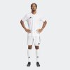 Pánský dres adidas T ICON25 JSY M - foto 6