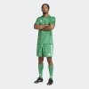 Pánský dres adidas T ICON25 JSY M - foto 6