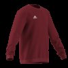 Chlapecká mikina adidas ENT22 SW TOPY - foto 7