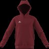 Chlapecká mikina adidas ENT22 HOODY Y - foto 6