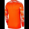 Chlapecký dres Nike Y NK DF PARK IV JSY LS GK - foto 1