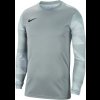 Chlapecký dres Nike Y NK DF PARK IV JSY LS GK - foto 0