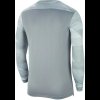 Chlapecký dres Nike Y NK DF PARK IV JSY LS GK - foto 1