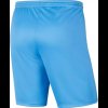 Pánské šortky Nike Y NK DF PARK III SHORT NB K - foto 1